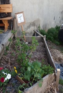 photo du jardin